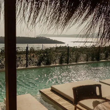 The Five - Adults Only *