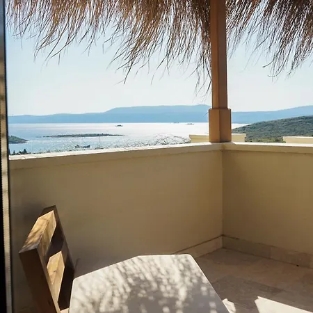 The Five - Adults Only